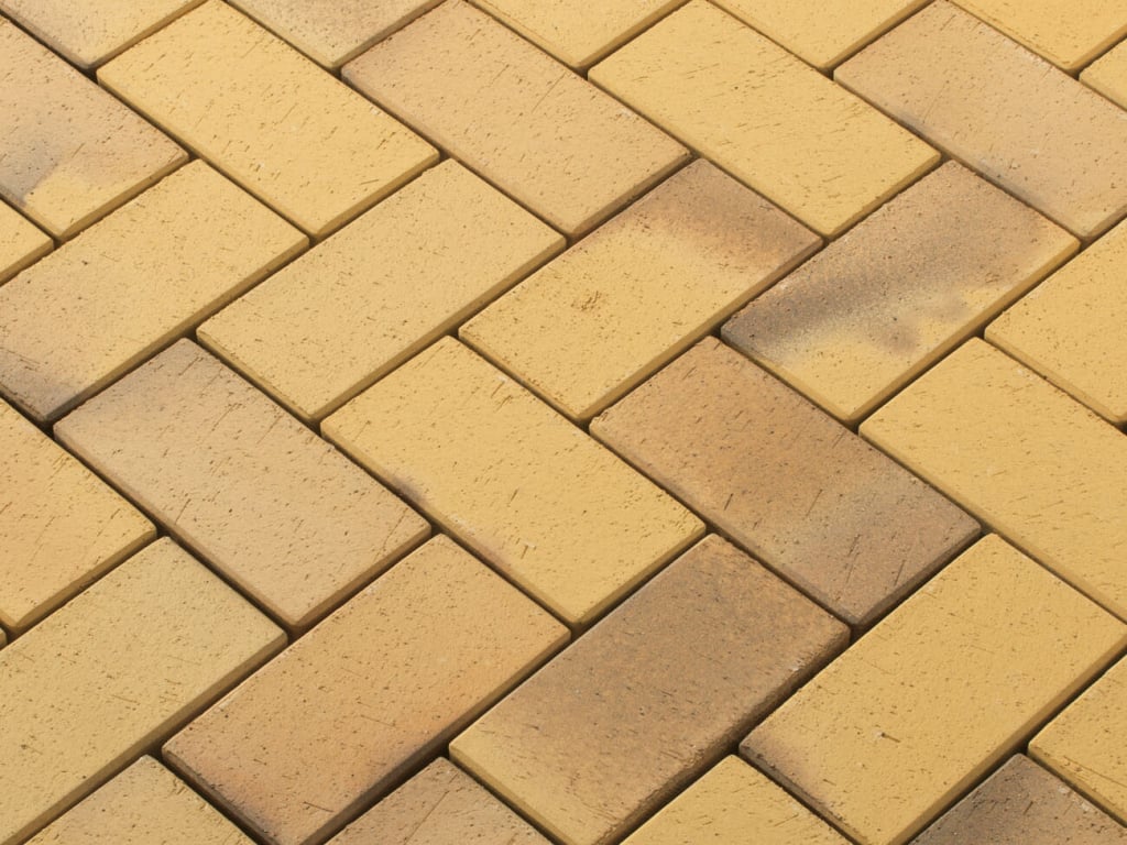plauen-sahara-cien-n.jpg